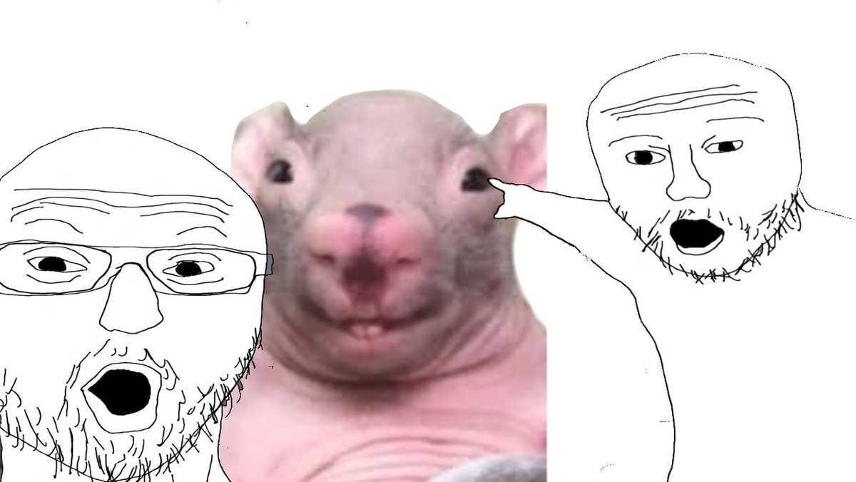 Needs_🇧🇷 tweet media