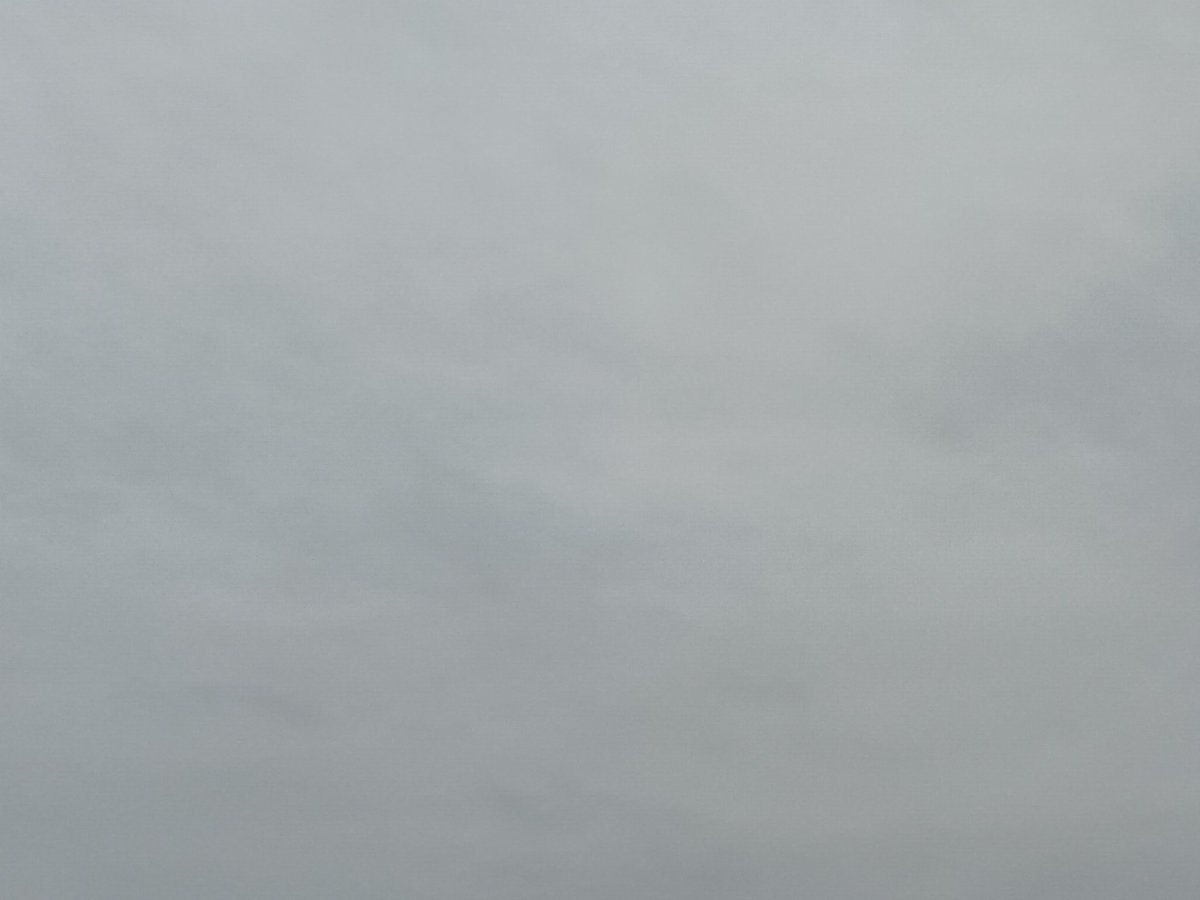 東洋インサイド整体院 tweet media