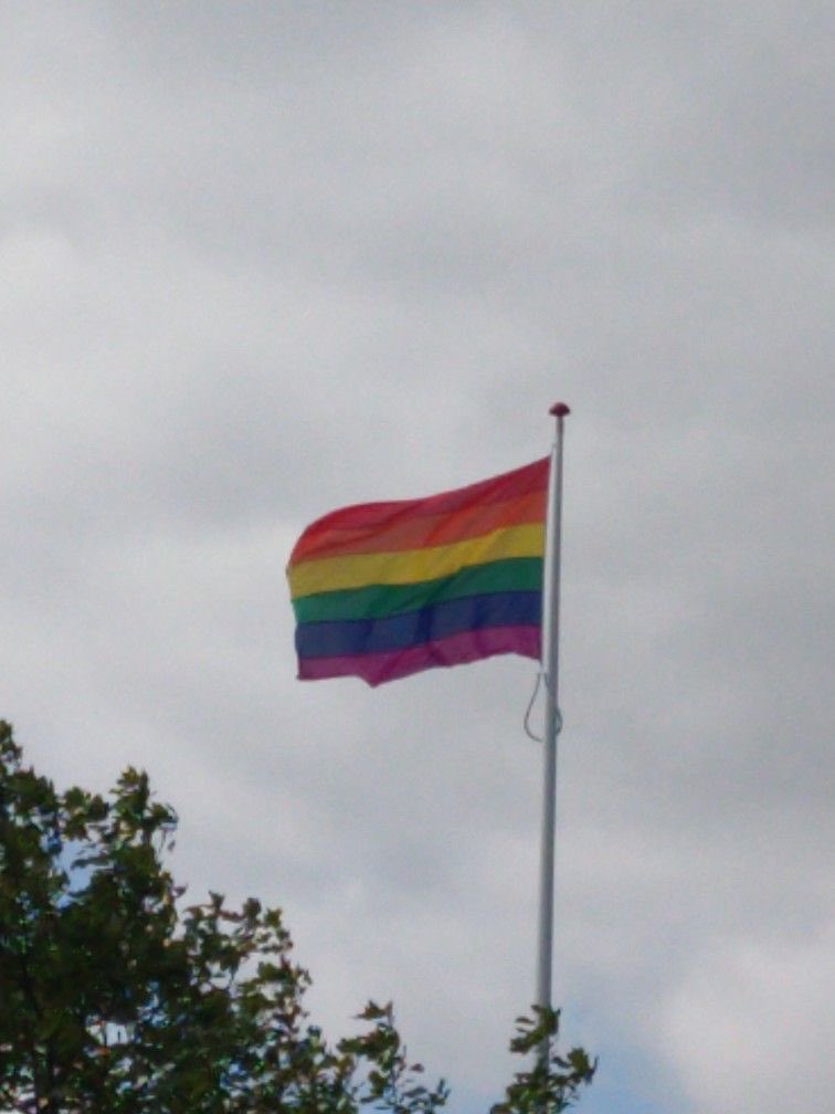 (Chia)🌻 cherry, occasionally🍒 tweet media