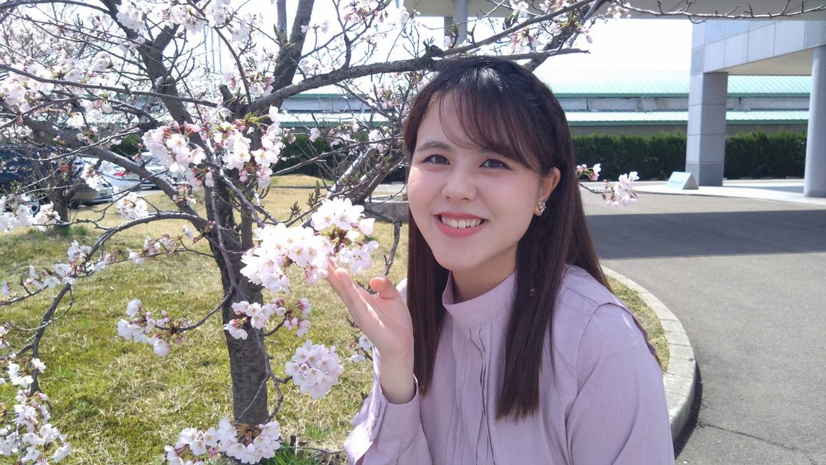 中島千歩 tweet media