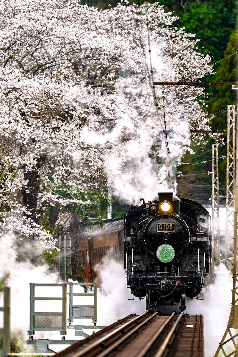 パーシーに変身して戻ってきたC108。
一年前には想像もしなかった姿です。