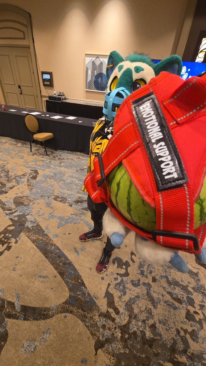 ~KoviSnep~ 🔜TFF tweet media