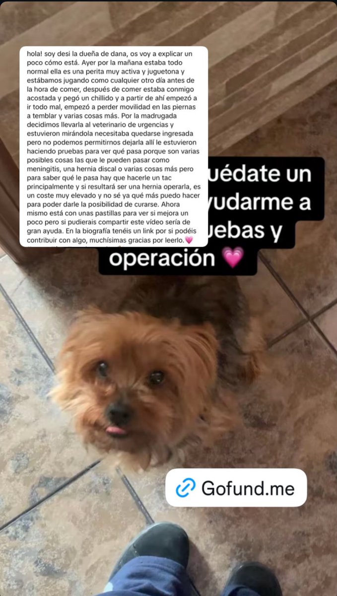 desidesi 𓆰𓆪 tweet media