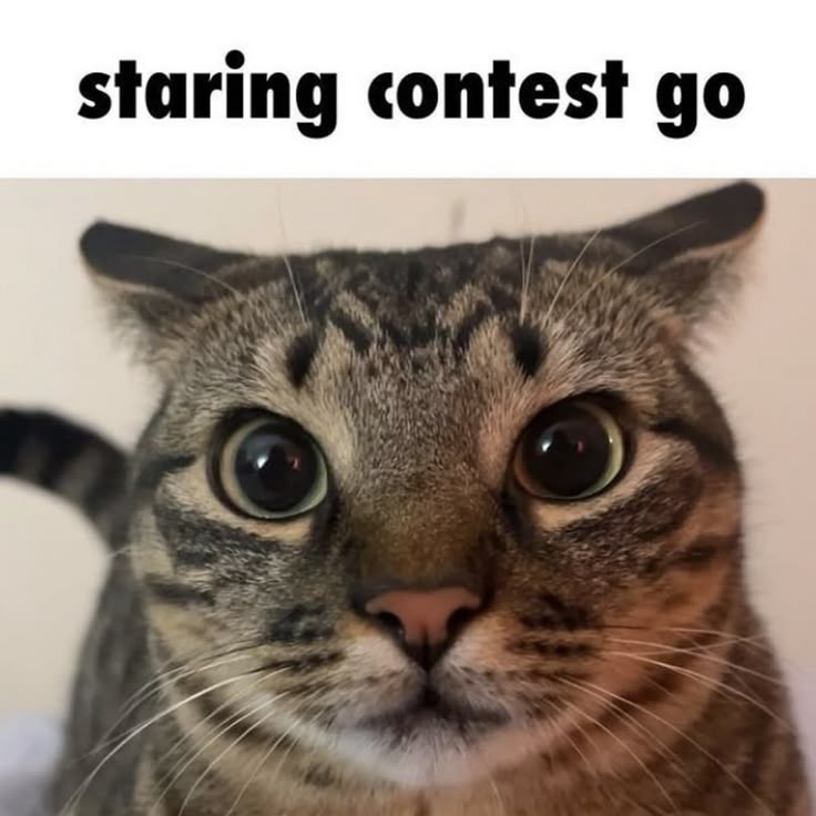 ella🌸 tweet media