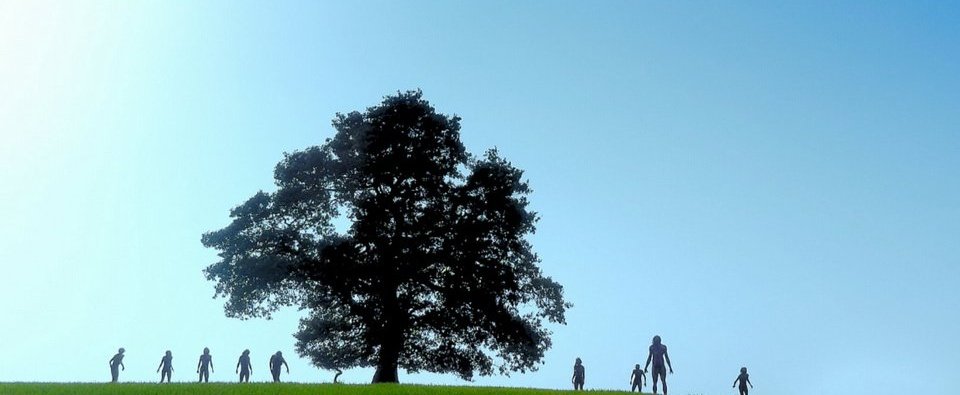 jimmy ace ☣🫀🦴 tweet media