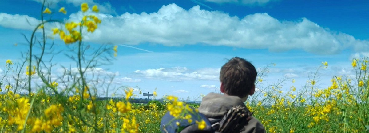 jimmy ace ☣🫀🦴 tweet media