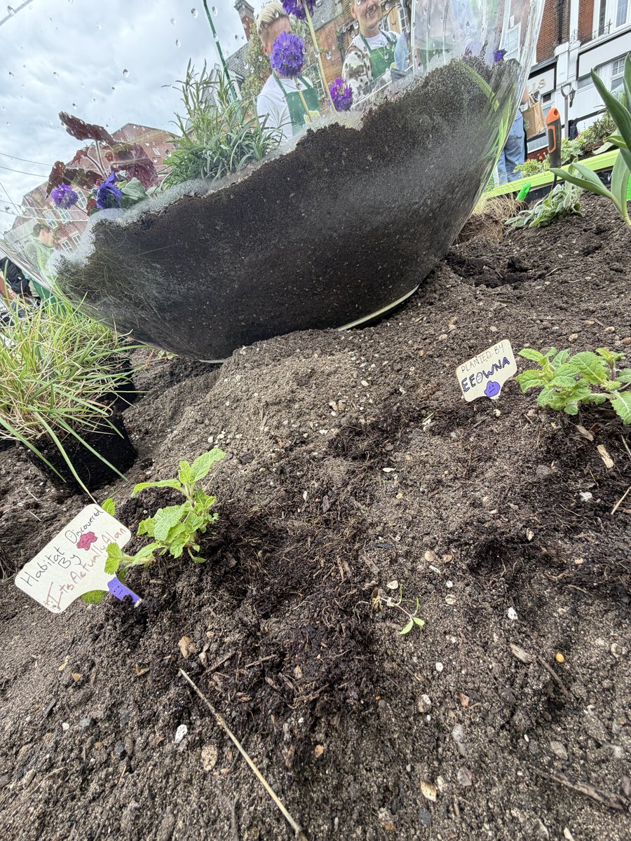 ItsActuallyAlan tweet media