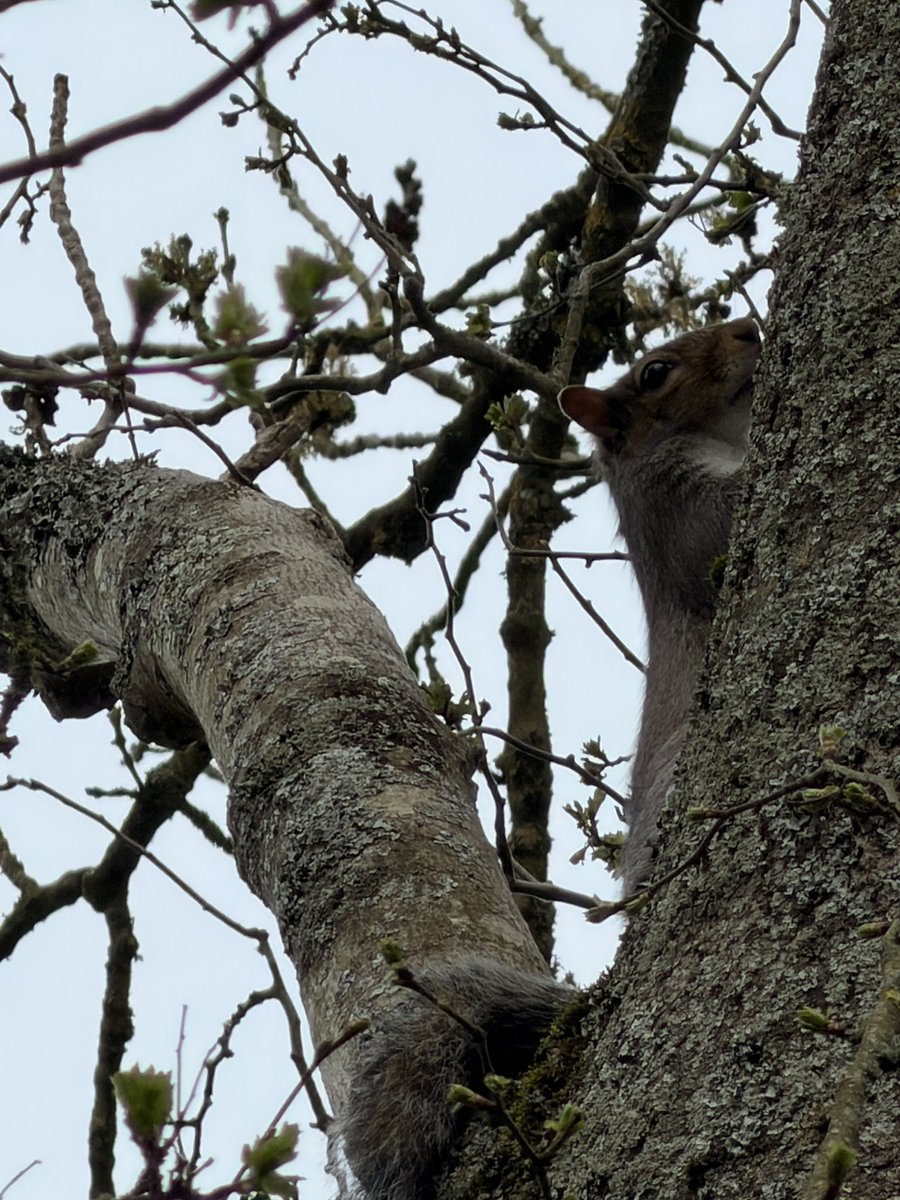 Not a Fitness Model tweet media