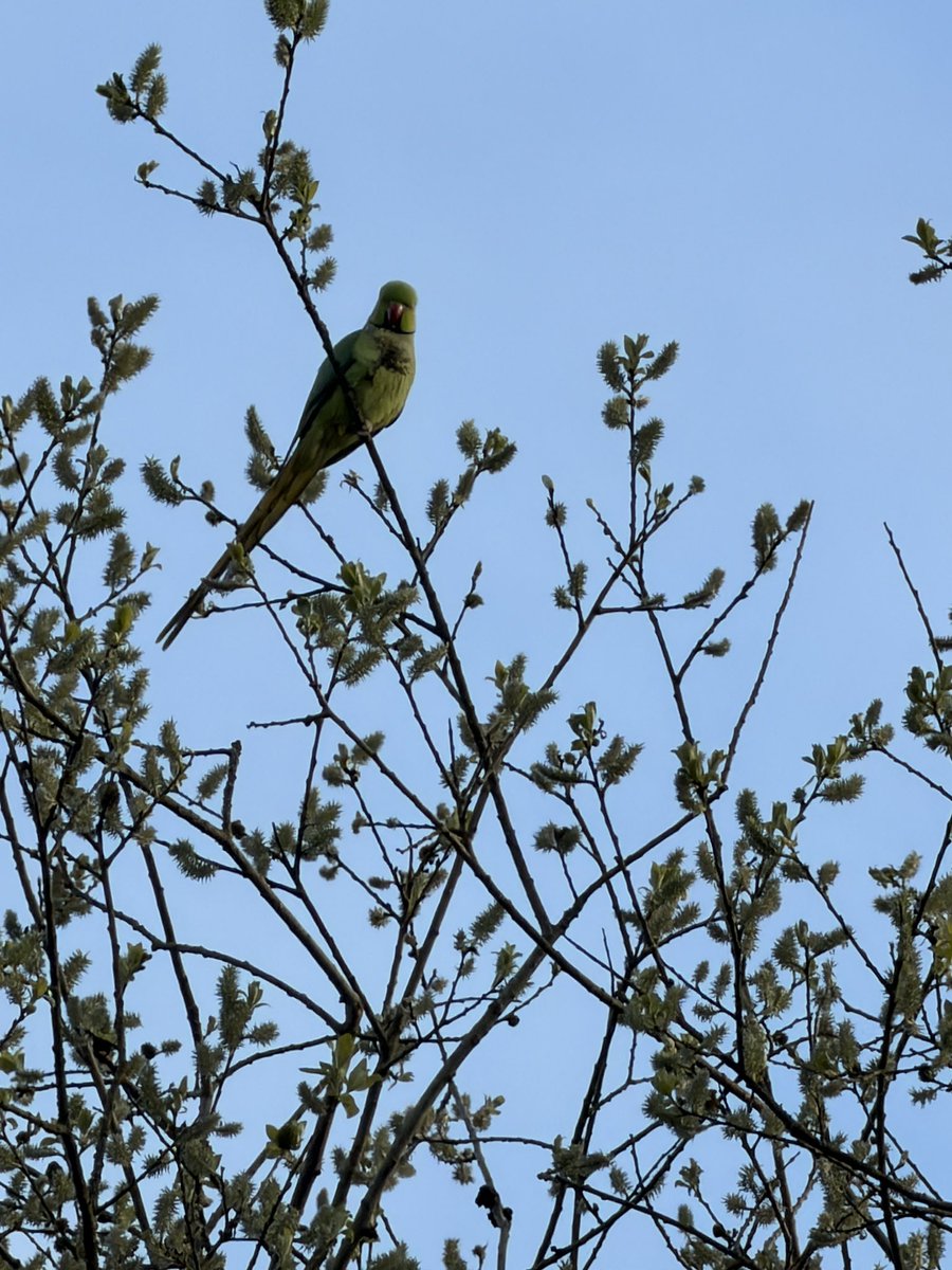 Not a Fitness Model tweet media