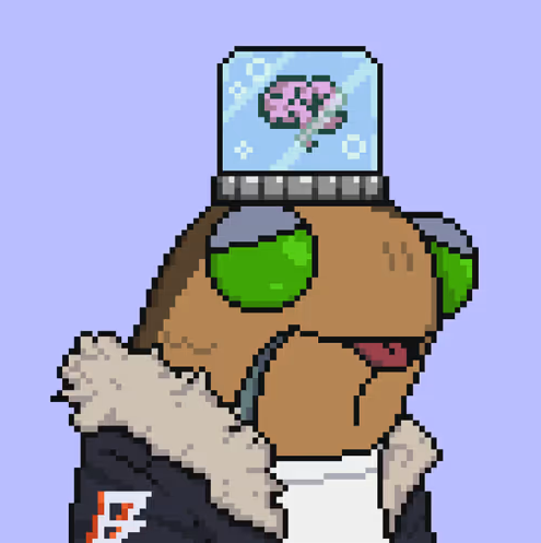 FishHeads tweet media