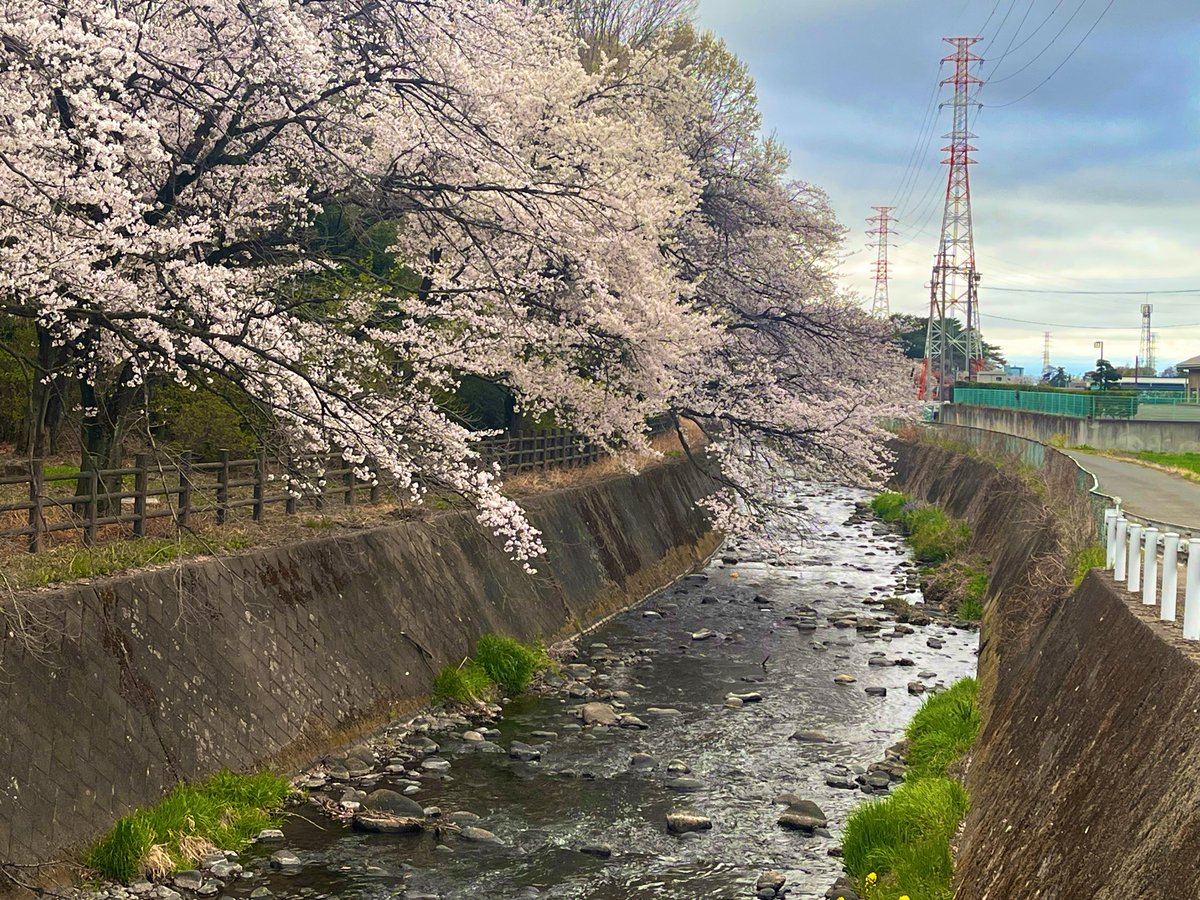 横濱家系ラーメン 暁家 tweet media