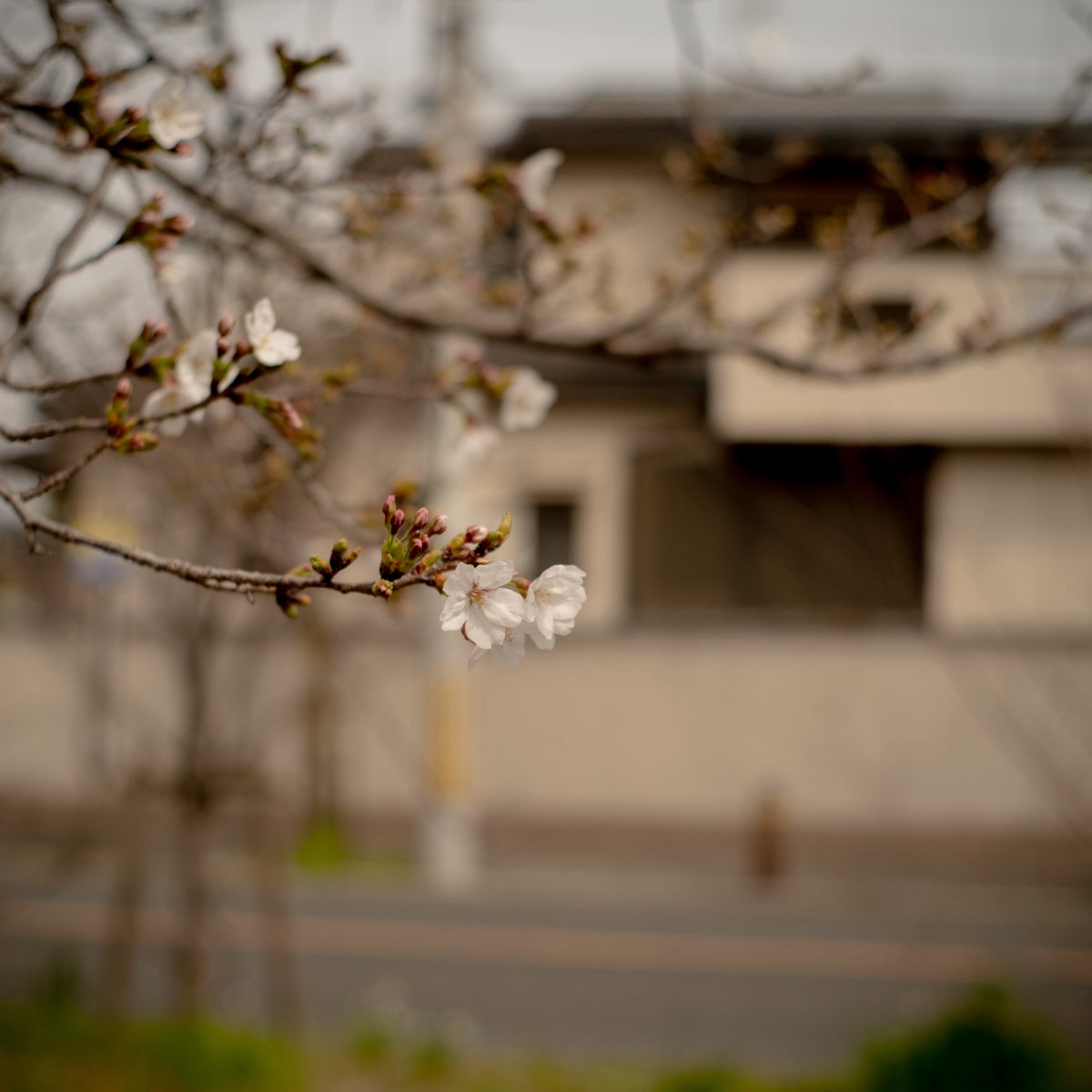 mawata79's tweet photo. 何がというわけでないが、年度始まりとして。

月が変わった月初のようで、区切りの始まりのようなツイタチ。

心を落ち着かせ、何かを始める。 https://t.co/VkIJ5ICN9j