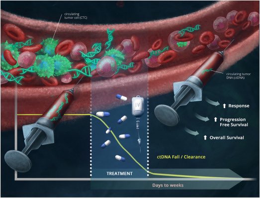 pashtoonkasi's tweet image. Crossed 160 publications📝today.

✍🏽Building upon #immunotherapy💉, novel clinical trials,  and #liquidBiopsies🩸 for patients with colorectal cancer and other malignancies.

Latest article with⭐️@mariaf_teix 🔗: @OncoAlert 
sciencedirect.com/science/articl… 

@cityofhopeoc #CRCSM #cancer