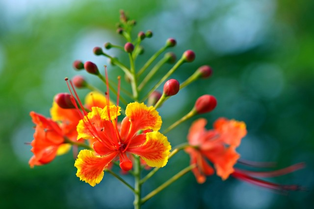 Jody Weaver tweet media