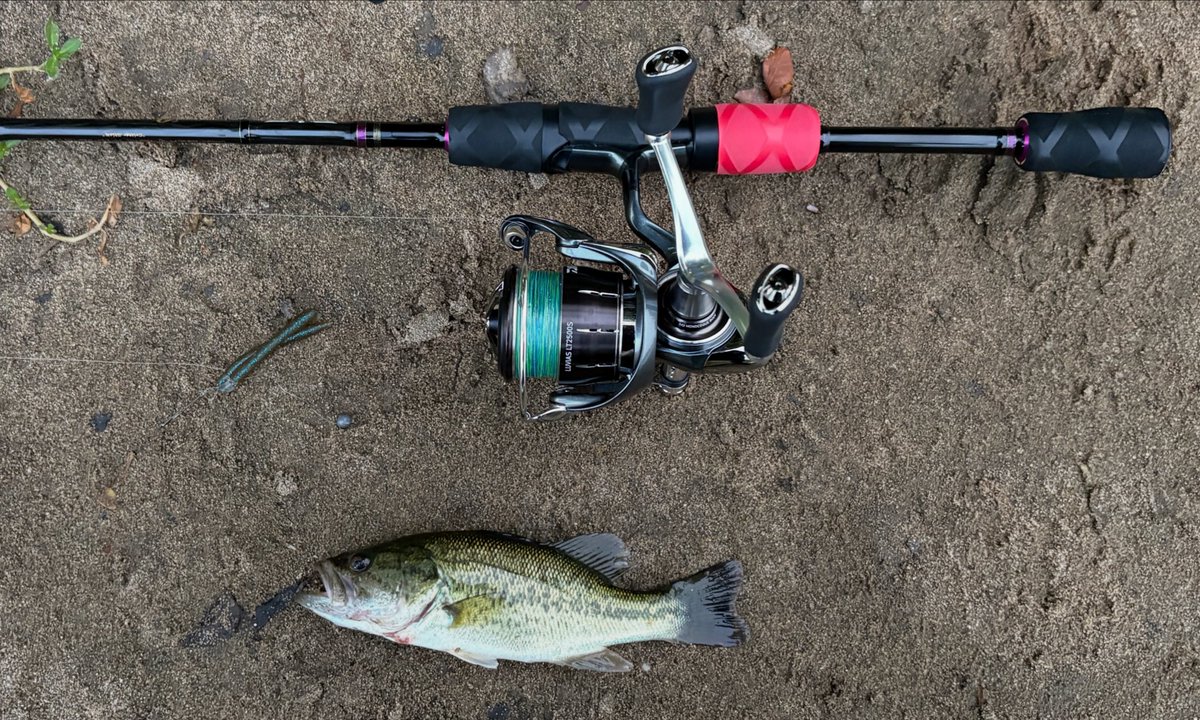 PEI@YODOGAWA tweet media