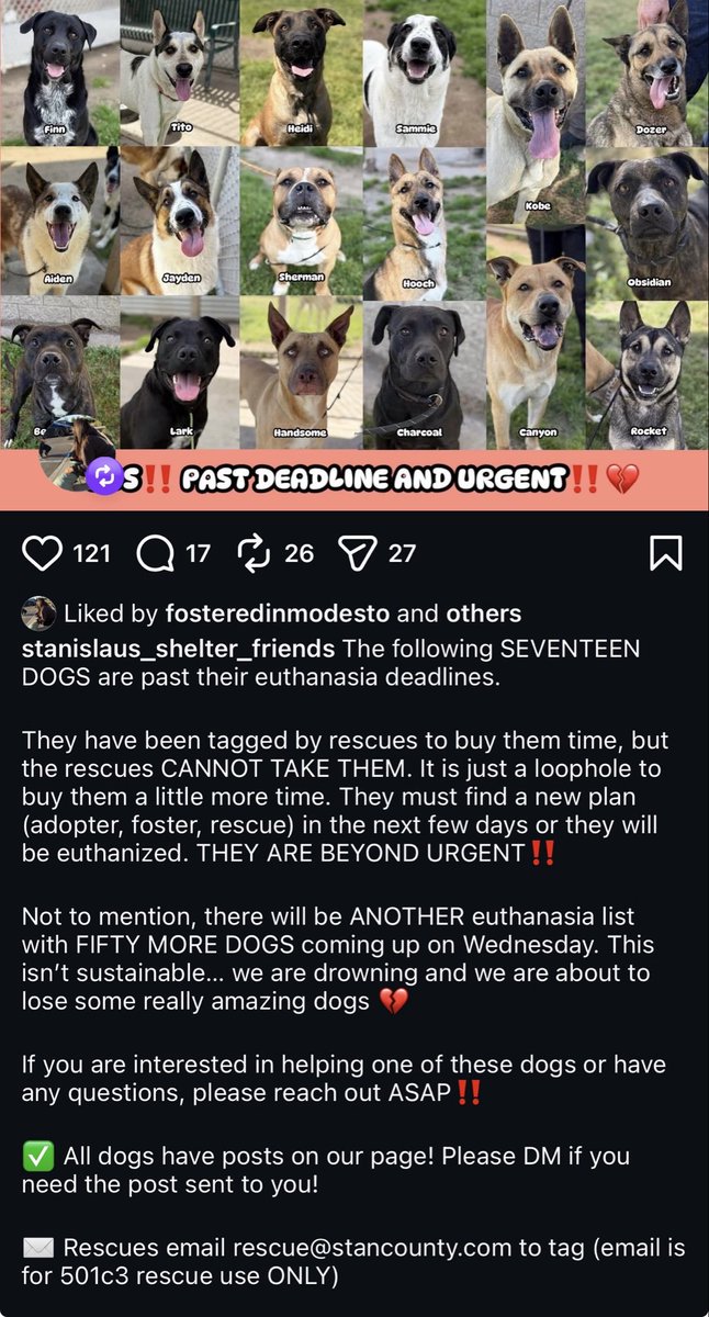 Christie McKiernan tweet media