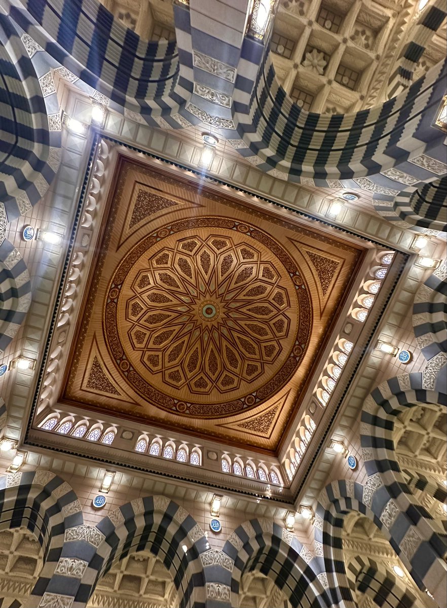 hatice çağlar tweet media