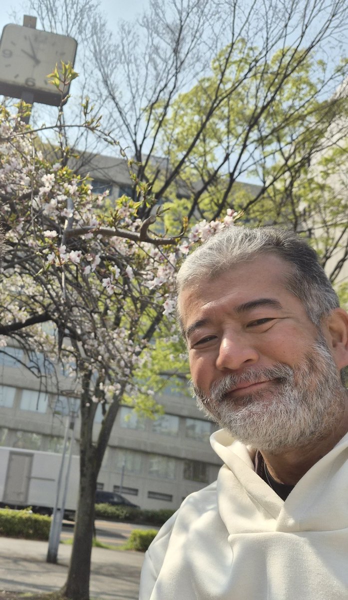 チャオ tweet media