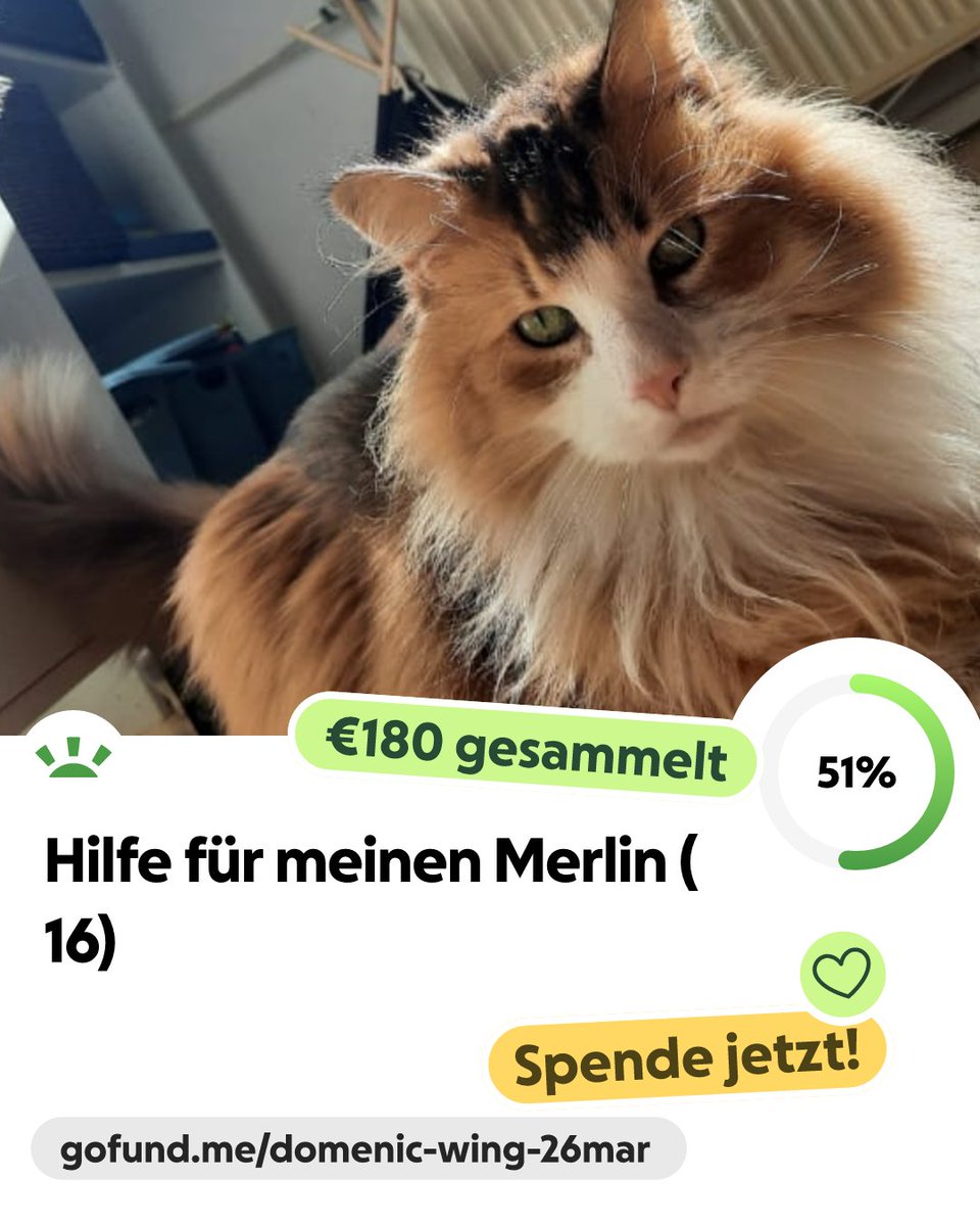 B3comeLegend's tweet photo. Ich bin euch für jede Hilfe dankbar... #Spende #Katzen  #Tiere https://t.co/WVaeAwyycc