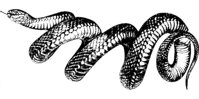 Beth Douglas tweet media