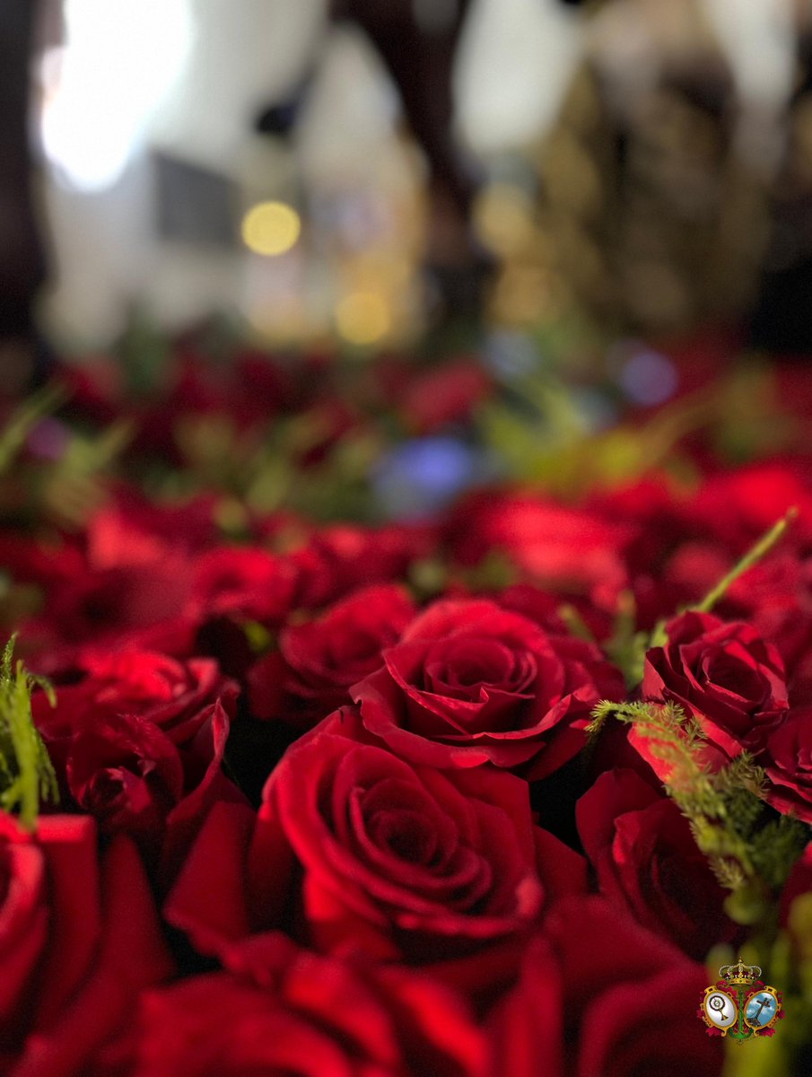 LanzadaSevilla's tweet photo. 🔴# ACTUALIDAD| 

Así amanecen, nuestros pasos. Todo preparado en San Martin, para un nuevo Miércoles Santo.
El paso del Santísimo Cristo de la Sagrada Lanzada, esta exornado con rosa roja y esparraguera. 
El paso de María Santísima del Buen Fin, con rosas vendela, fresia blanca. https://t.co/5ufcTuSe9R