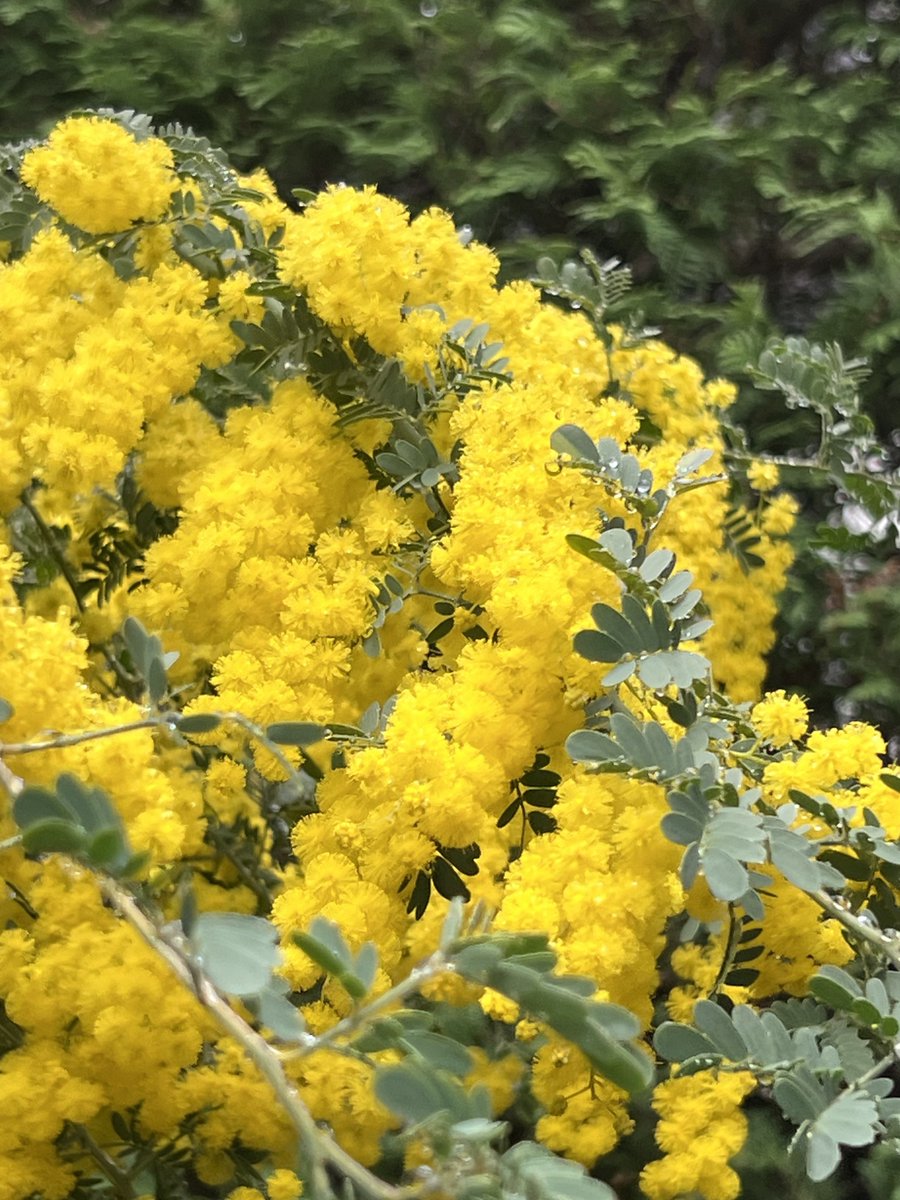 Katherine tweet media