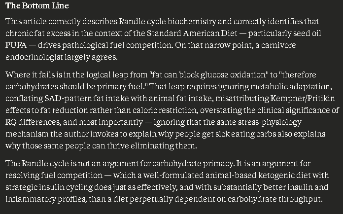rotterdamaged tweet media