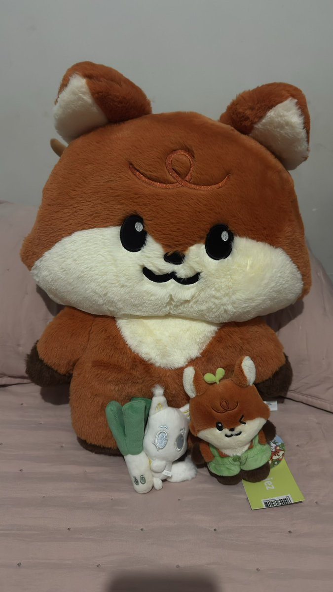 𑣲 anália tweet media