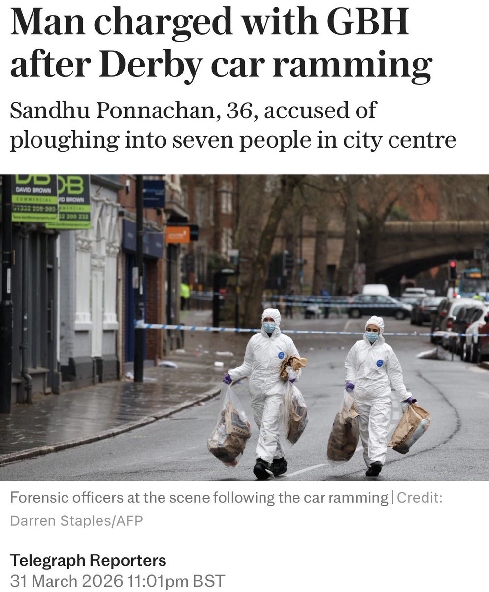 Wolf 🐺 tweet media