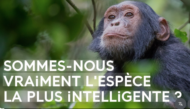 Knb L Sunshine tweet media