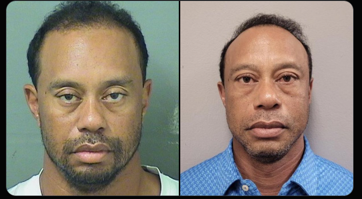 JCAGOLFReport tweet media