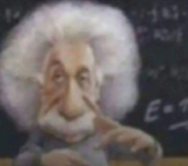 bernardo tweet media