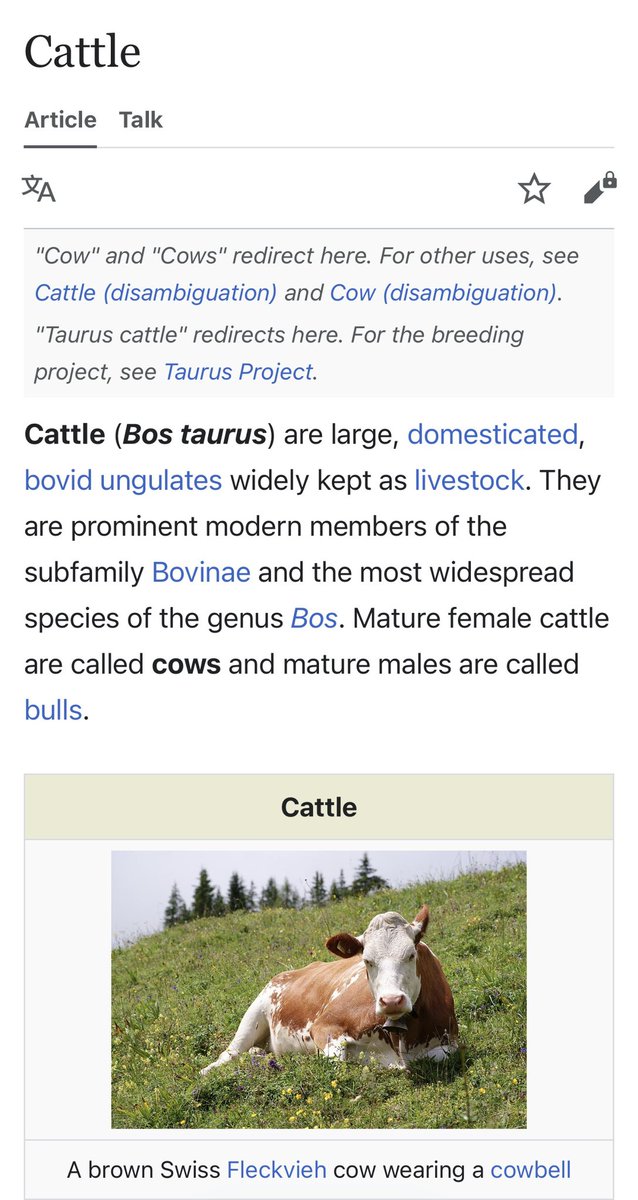 Jake 🇵🇸🍉 tweet media