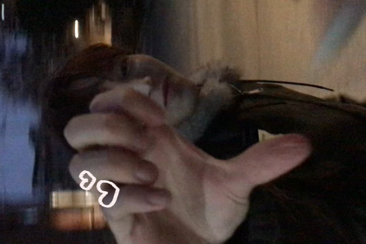 HAIM_beep's tweet photo. 너라면 내가 ⭐도 🌙도 다 따줌 🤲🏻
진짜임 ㅋ.ㅋ /// https://t.co/DLe1IJc3E5