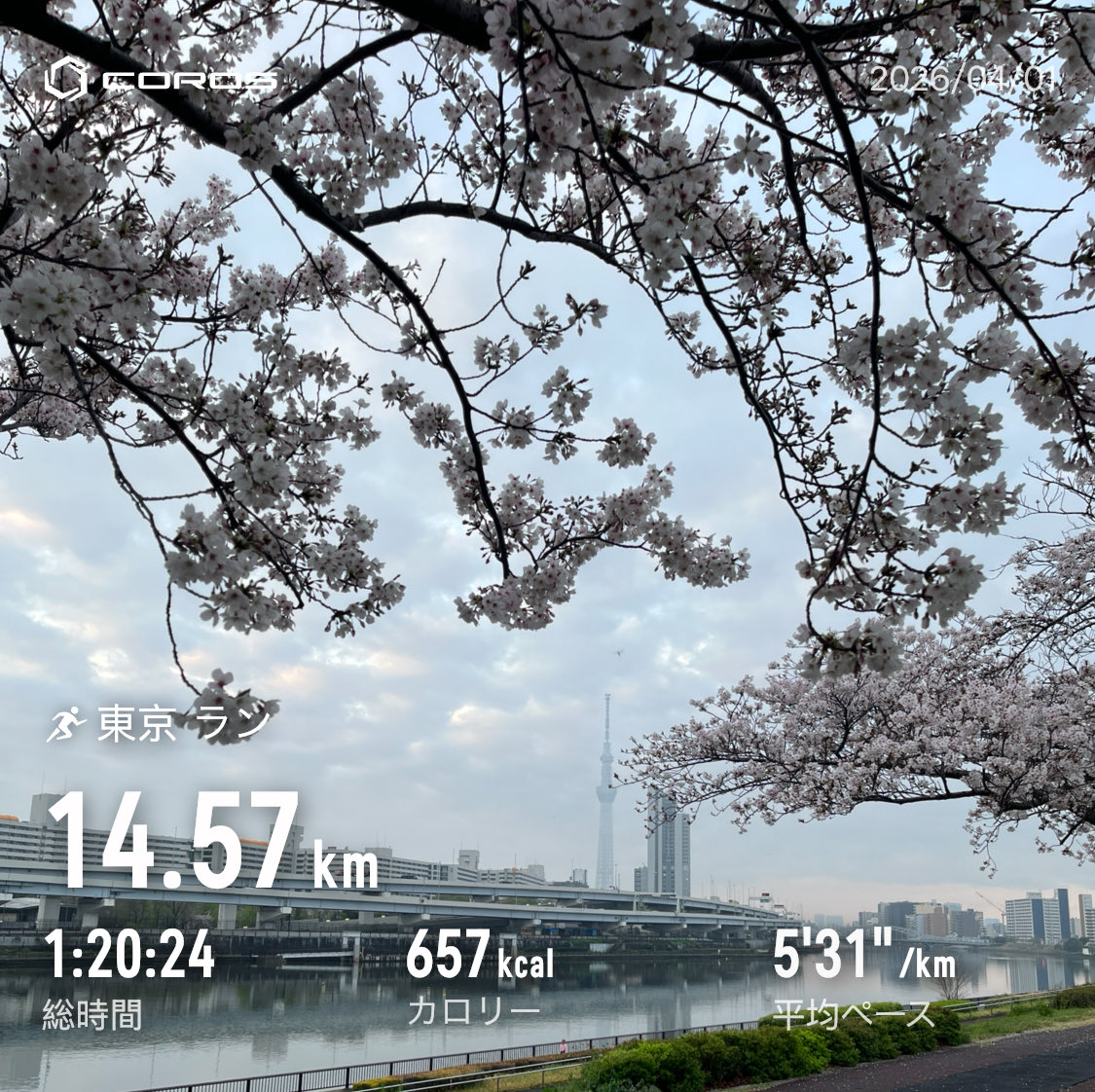 ささゆー tweet media