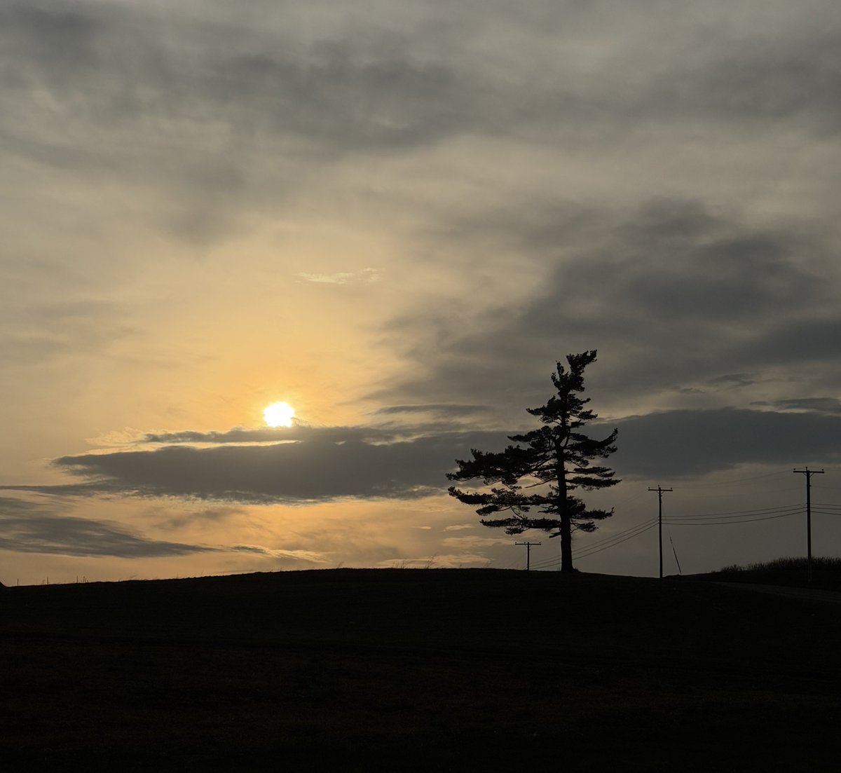 petermarteka's tweet photo. Lone Pine sunset.
#Middlefield https://t.co/ukaHFRIns4