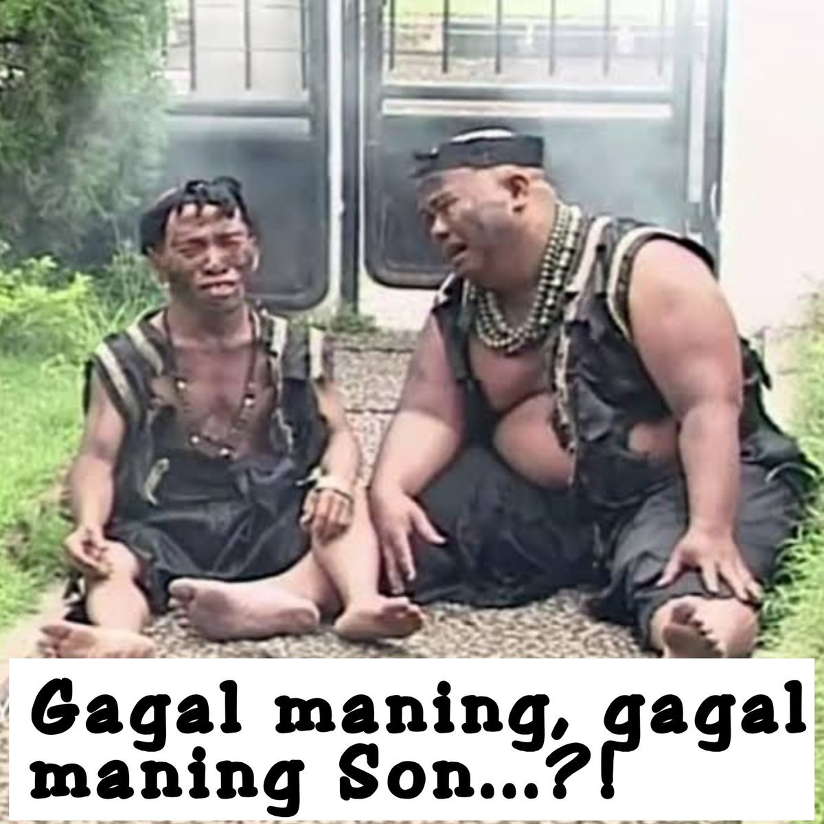 CANARY PUNK tweet media