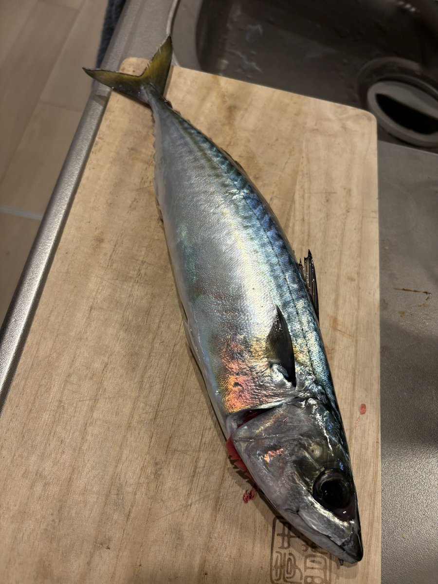 URA味覚糖 tweet media