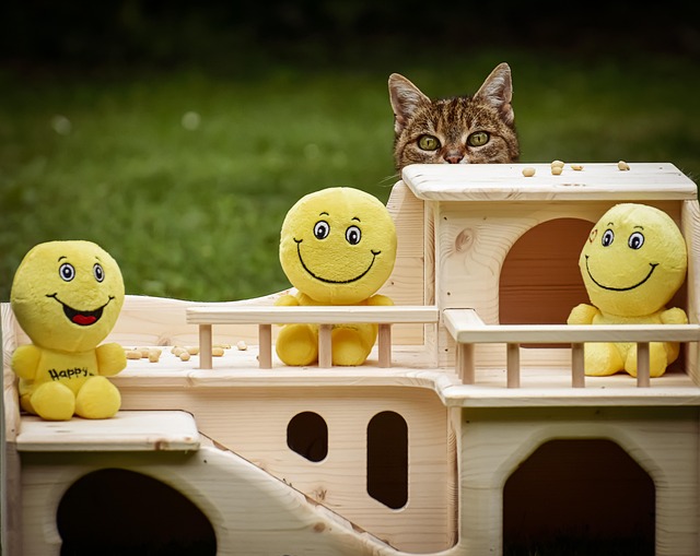 Dr.K @Drdebuneko tweet media