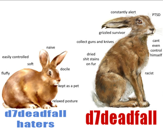 deadfall tweet media