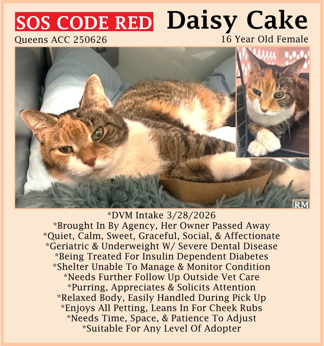 Renee' Martin tweet media