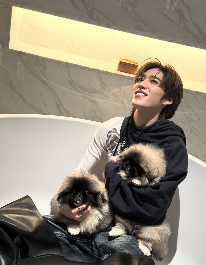 hourly pp tweet media