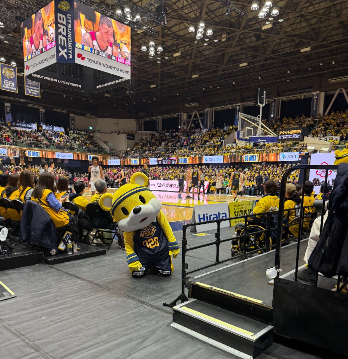 m67t_ba_so's tweet photo. 今年こそ🥇🐻🔥

#Bリーグマスコット
#ブレッキー10年目の覚悟 https://t.co/ygHvD4ETQC