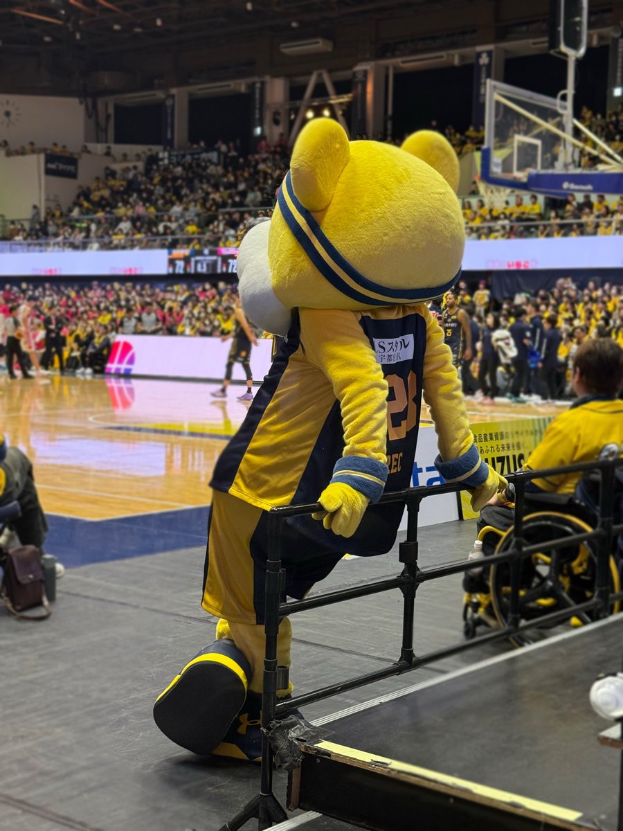 m67t_ba_so's tweet photo. 今年こそ🥇🐻🔥

#Bリーグマスコット
#ブレッキー10年目の覚悟 https://t.co/ygHvD4ETQC