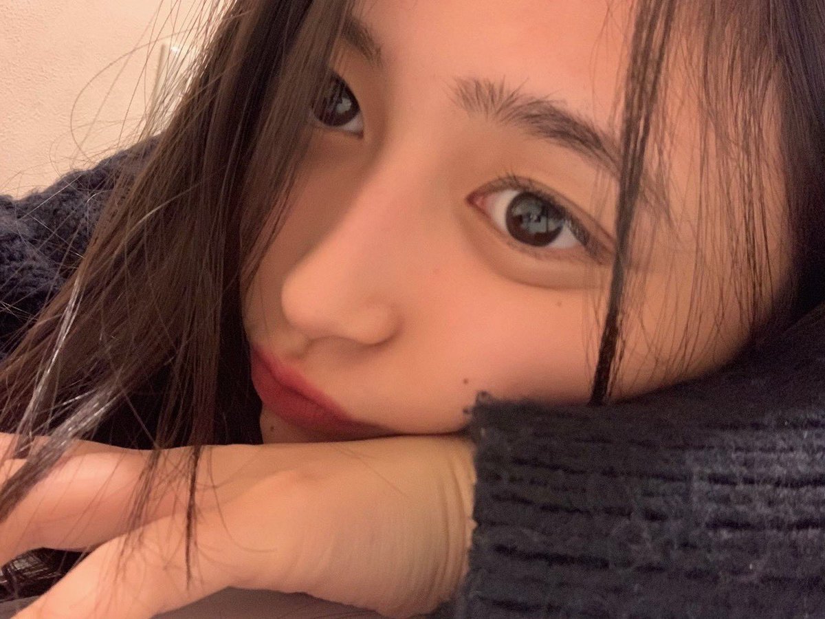 よもぎ tweet media