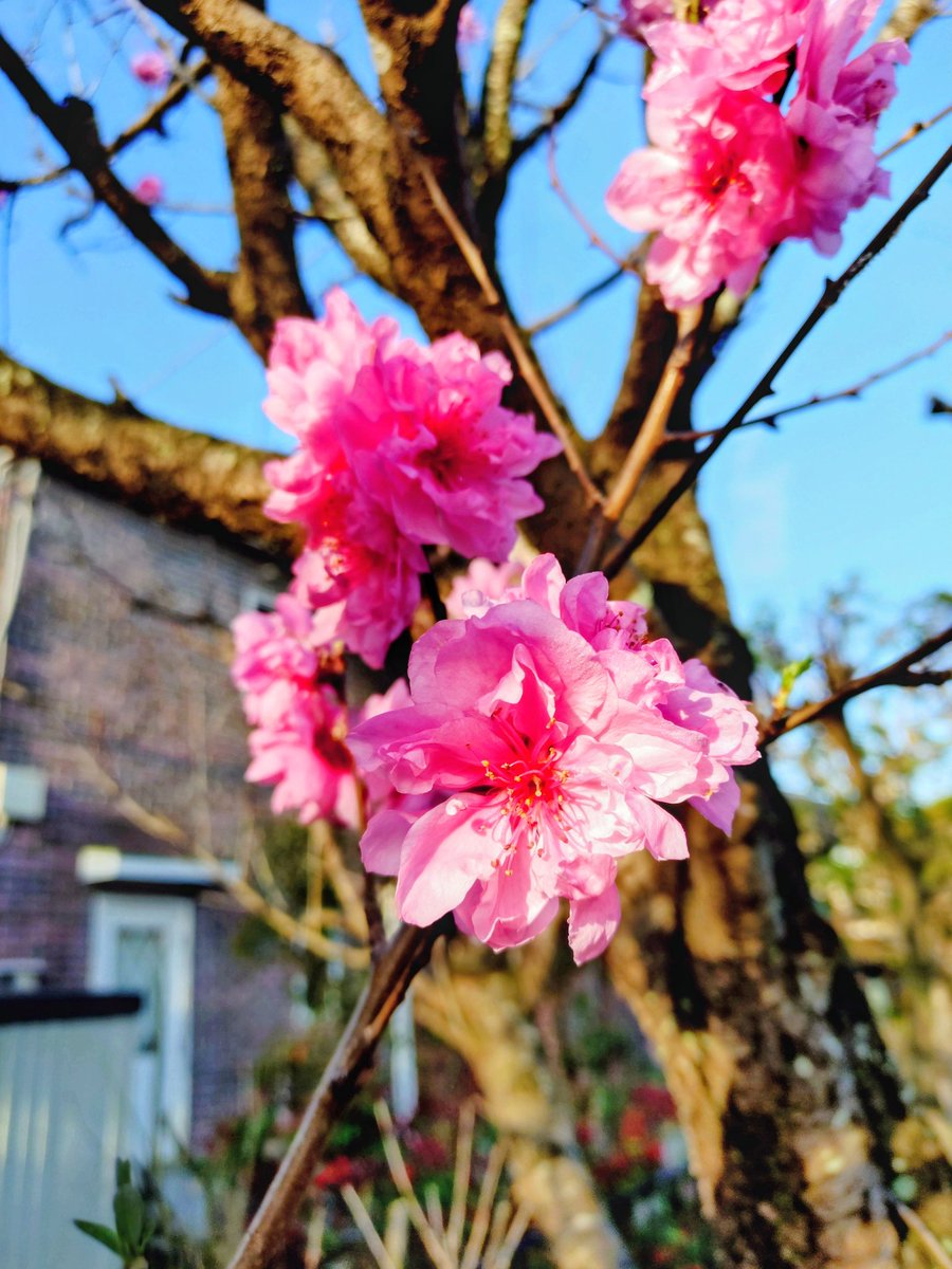 loan wolf cub(マイペース😊) tweet media