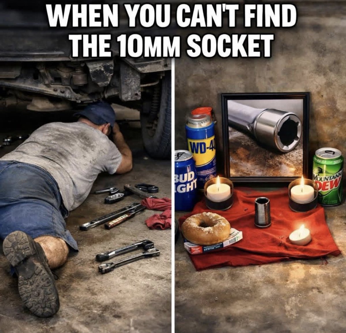 CandyCats357 tweet media