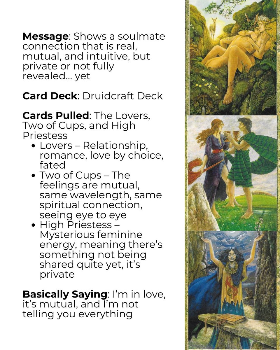 Megan Fox Italy tweet media