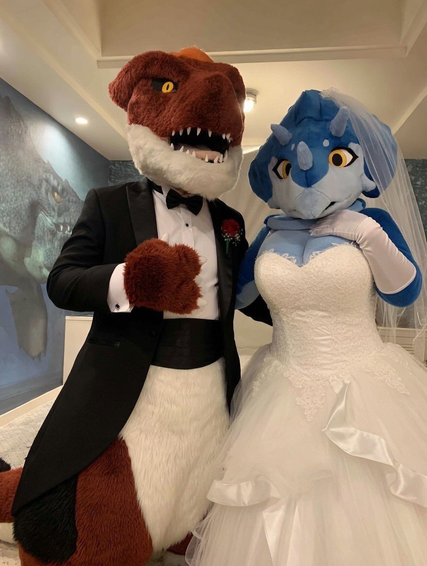 シャーチン( ¯꒳¯ )ᐝ tweet media