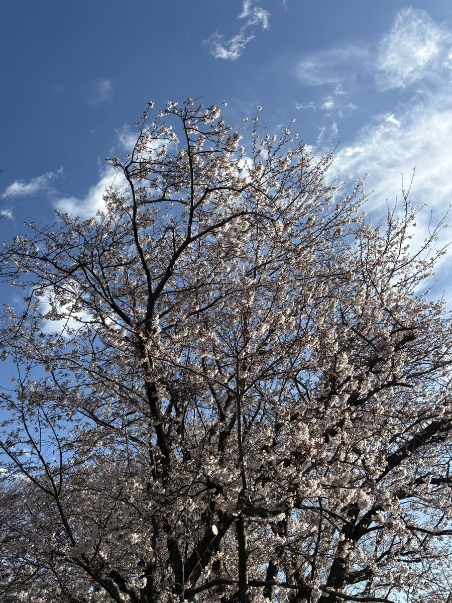 りょう tweet media